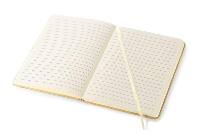 Notebook TERE B6