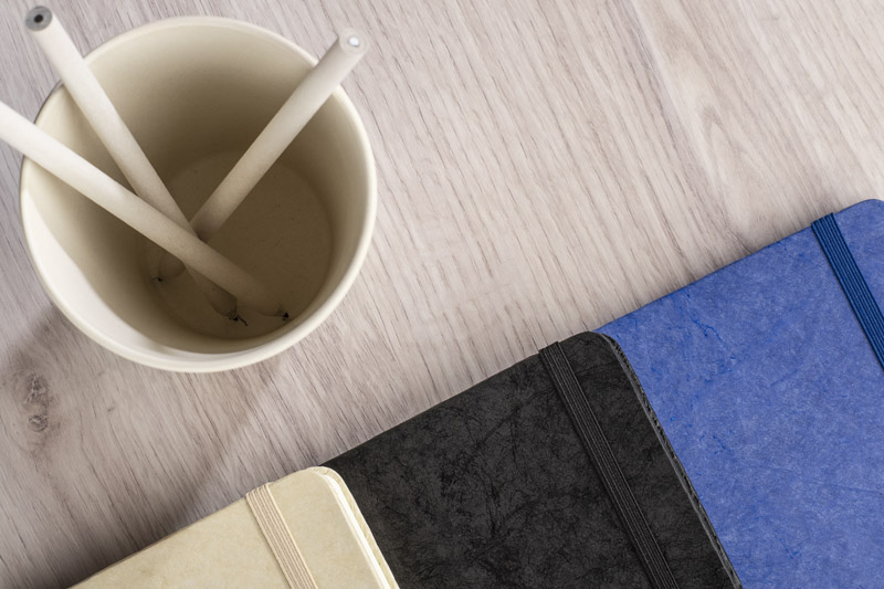 Notebook TERE B6