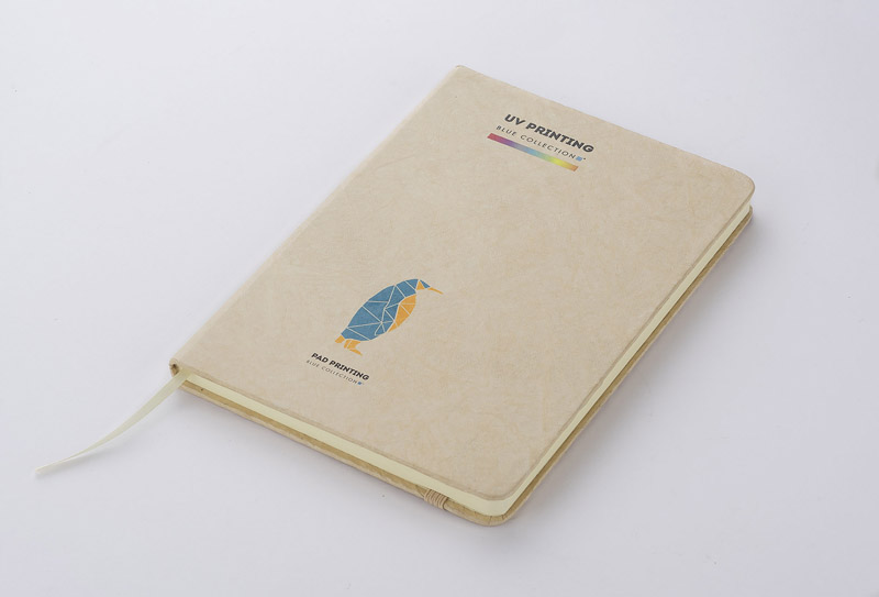 Notebook TERE B6