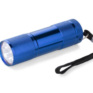 Flashlight RAY