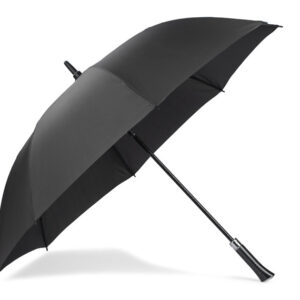Umbrella DIZZES