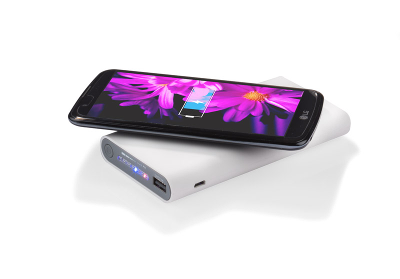 Powerbank DOUBLE 8000 mAh