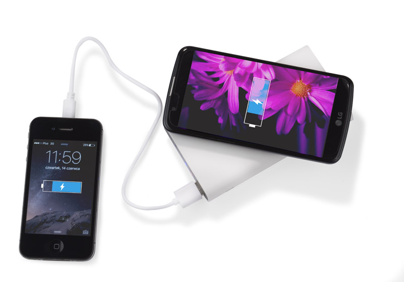 Powerbank DOUBLE 8000 mAh
