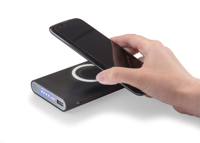 Powerbank DOUBLE 8000 mAh