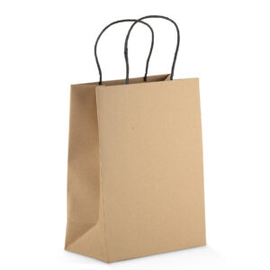 Paper bag PAKLO medium