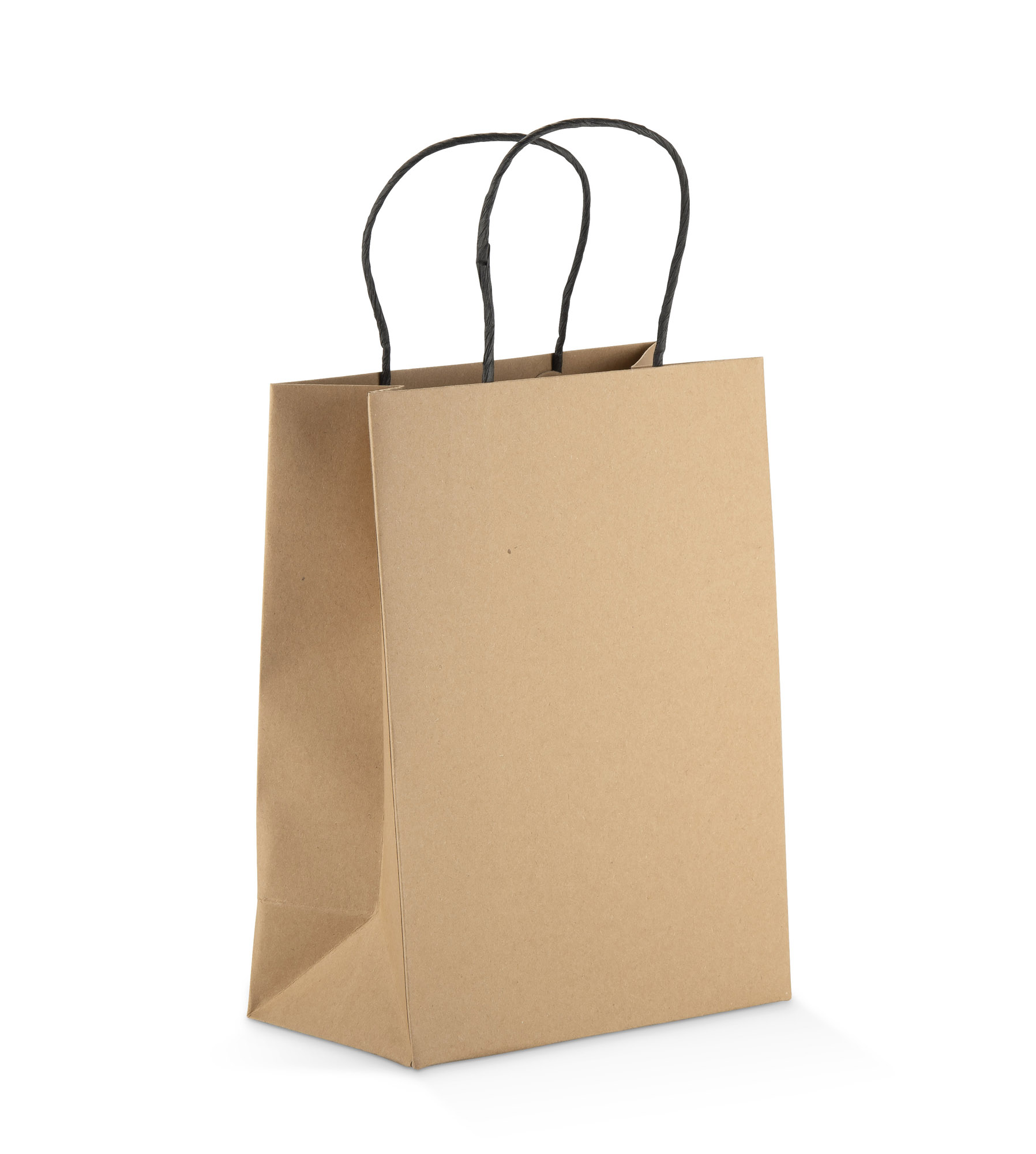 Paper bag PAKLO medium