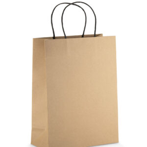 Paper bag PAKLO large