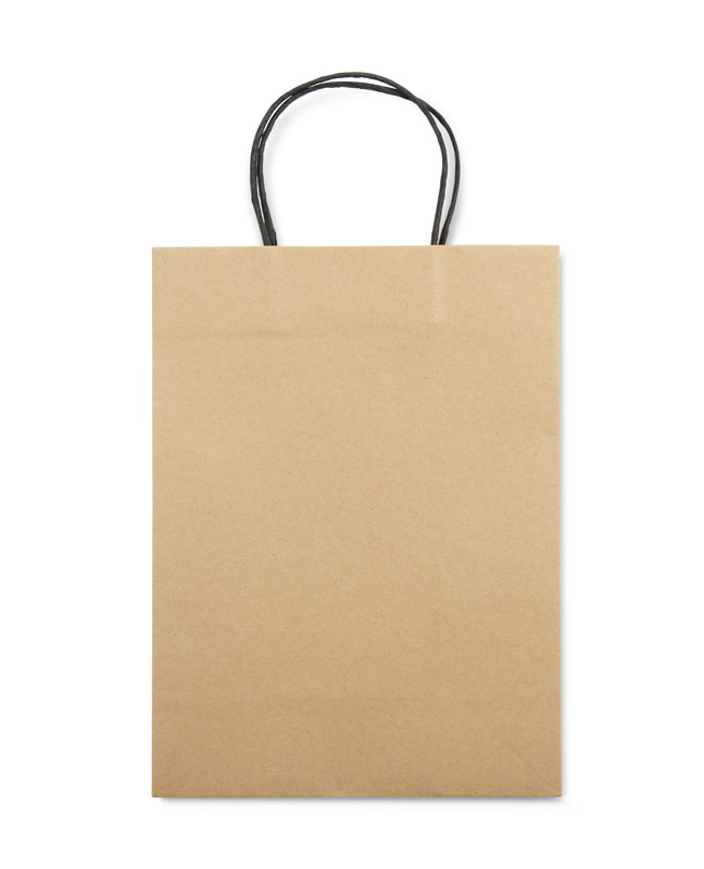 Paper bag PAKLO large