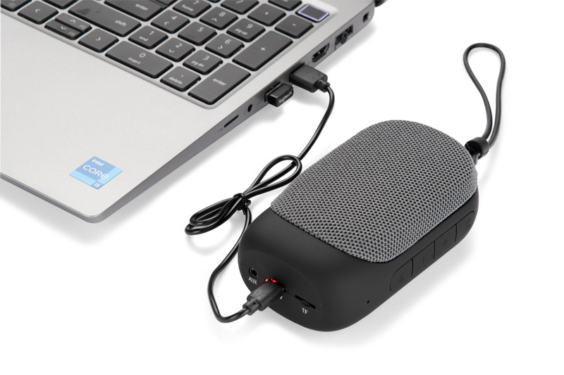 Wireless speaker CADENA