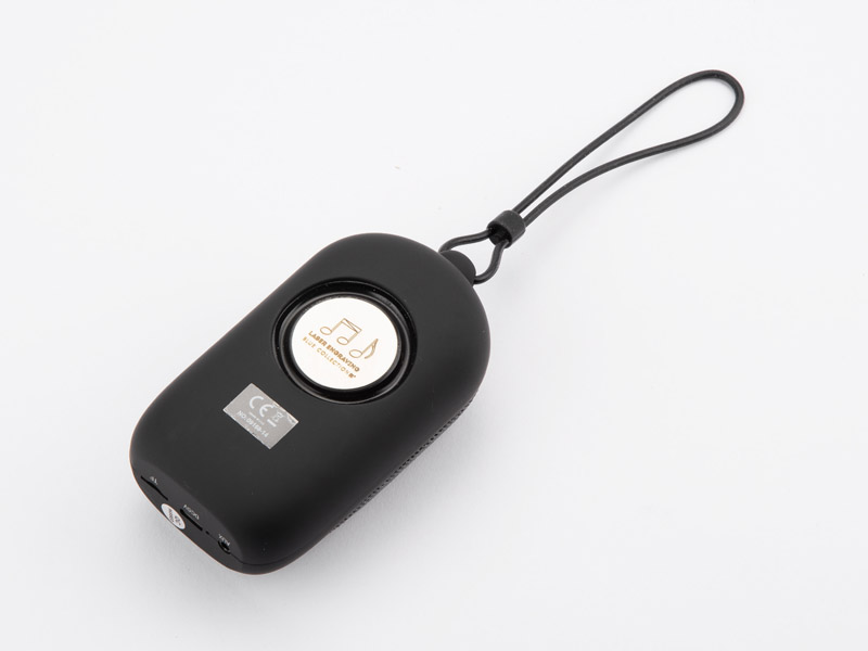 Wireless speaker CADENA