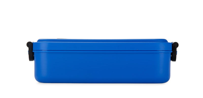 Container TAPAS 850 ml