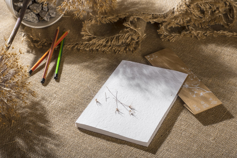 Notebook MARIGOLD A5