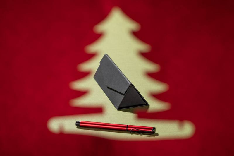 Pen case E31
